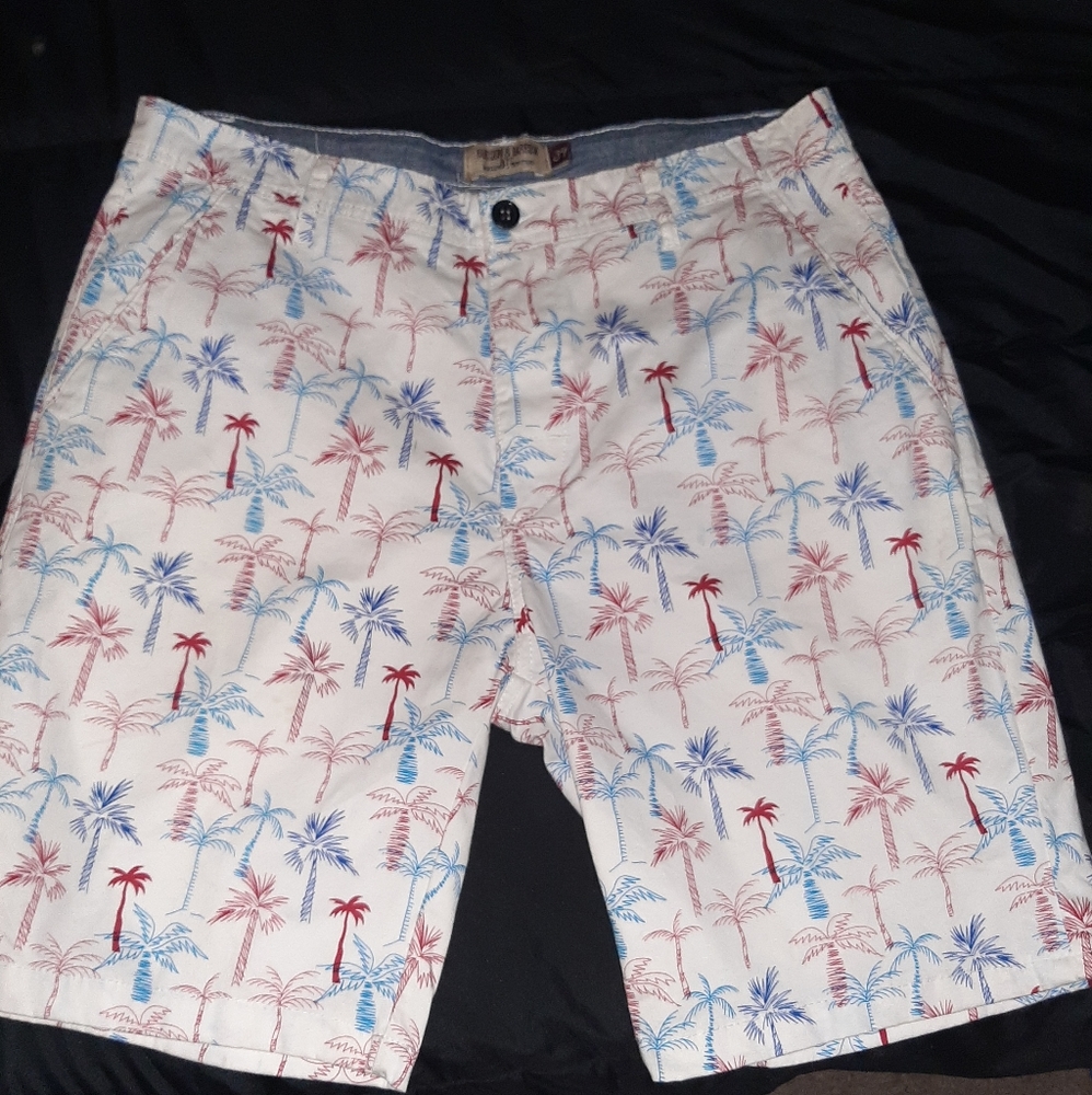 palm tree print shorts hudson and barrow.